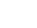 GT Foods